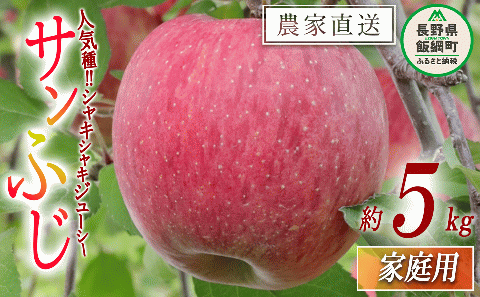 りんご おうちで食べるりんご サンふじ 家庭用 5kg 大友農場 エコファーマー認定 沖縄県への配送不可 2025年12月中旬頃から2026年1月末頃まで順次発送予定 令和7年度収穫分 信州 果物 フルーツ リンゴ 林檎 長野 予約 農家直送 長野県 飯綱町 [0835]