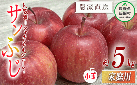 りんご 小ささに訳あり サンふじ（小玉）家庭用5kg 【令和6年度収穫分 