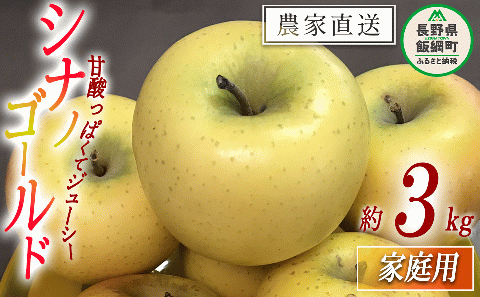 りんご シナノゴールド 家庭用 3kg 大友農場 エコファーマー認定 沖縄県への配送不可 2025年12月中旬頃から2026年2月上旬頃まで順次発送予定 令和7年度収穫分 長野県 飯綱町 [1551]
