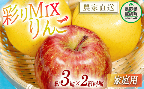 りんご 黄紅彩りMIXりんご サンふじ シナノゴールド 家庭用 3kg × 各1箱 合計 2箱 セット 大友農場 エコファーマー認定 沖縄県への配送不可 2025年12月中旬頃から2026年1月下旬頃まで順次発送予定 令和7年度収穫分 信州 果物 フルーツ リンゴ 林檎 長野 予約 農家直送 長野県 飯綱町 [1553]