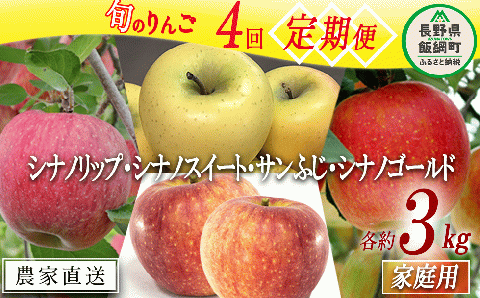 旬のりんご 【 定期便 】 家庭用 3kg × 4回 大友農場 エコファーマー認定 沖縄県配送不可 2025年8月中旬頃から2025年1月中旬頃まで順次発送予定 令和7年度収穫分 飯綱町 [0891]