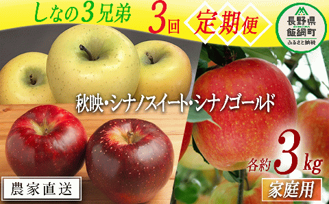 旬のりんご しなの3兄弟 【 定期便 】 家庭用 3kg × 3回 大友農場 エコファーマー認定 沖縄県配送不可 2025年10月上旬頃から2026年1月中旬頃まで順次発送予定 飯綱町 [1389]