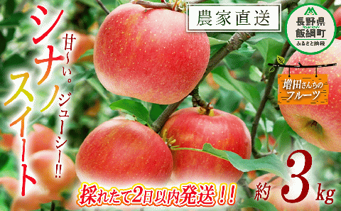 りんご シナノスイート 家庭用 3kg 採れたてを発送 増田ファーム 沖縄県への配送不可 2025年10月上旬頃から2025年11月上旬頃まで順次発送予定 令和7年度収穫分 信州 果物 フルーツ リンゴ 林檎 長野 予約 農家直送 長野県 飯綱町 [0819]