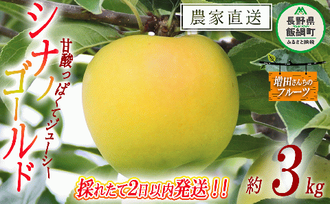 【 採れたて発送 】 りんご シナノゴールド 家庭用 3kg 採れたてを発送 増田ファーム 沖縄県への配送不可 2025年11月上旬頃から2025年11月下旬頃まで順次発送予定 令和7年度収穫分 信州 果物 フルーツ リンゴ 林檎 長野 予約 農家直送 長野県 飯綱町 [0596]