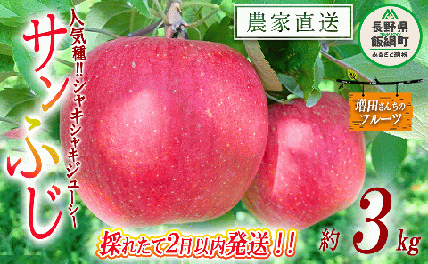 【 採れたてを発送 】りんご サンふじ 家庭用 3kg 採れたてを発送 増田ファーム 沖縄県への配送不可 2025年11月下旬頃から2025年12月上旬頃まで順次発送予定 令和7年度収穫分 信州 果物 フルーツ リンゴ 林檎 長野 予約 農家直送 長野県 飯綱町 [0572]