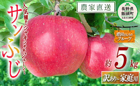 りんご サンふじ 家庭用 〜 訳あり 5kg 増田ファーム 沖縄県への配送不可 2025年12月上旬頃から2026年2月上旬頃まで順次発送予定 令和7年度収穫分 信州 果物 フルーツ リンゴ 林檎 長野 予約 農家直送 長野県 飯綱町 [0564]