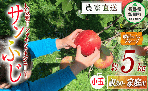 りんご サンふじ 家庭用 〜 訳あり ( 小玉 ) 5kg 増田ファーム 沖縄県への配送不可 2025年11月下旬頃から2026年2月上旬頃まで順次発送予定 令和7年度収穫分 信州 果物 フルーツ リンゴ 林檎 長野 予約 農家直送 長野県 飯綱町 [0597]