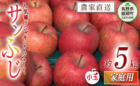 りんご サンふじ 家庭用 ( 小玉 ) 5kg 原山農園 沖縄県への配送不可 2026年1月上旬頃から2026年3月上旬頃まで順次発送予定 令和7年度収穫分 信州 果物 フルーツ リンゴ 林檎 長野 予約 農家直送 長野県 飯綱町 [0785]