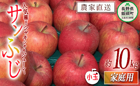 りんご サンふじ 家庭用 ( 小玉 ) 10kg 原山農園 沖縄県への配送不可 2026年1月上旬頃から2026年3月上旬頃まで順次発送予定 令和7年度収穫分 信州 果物 フルーツ リンゴ 林檎 長野 予約 農家直送 長野県 飯綱町 [0620]