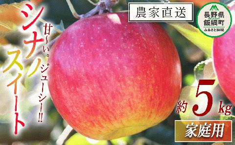 りんご シナノスイート 家庭用 5kg マルカズりんご農園 沖縄県への配送不可 2025年10月中旬頃から2025年10月下旬頃まで順次発送予定 令和7年度収穫分 長野県 飯綱町 [0991]