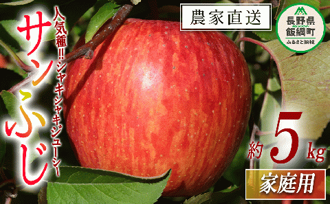 りんご サンふじ 家庭用 5kg マルカズりんご農園 沖縄県への配送不可 2025年11月下旬頃から2025年12月下旬頃まで順次発送予定 令和7年度収穫分 長野県 飯綱町 [0951]