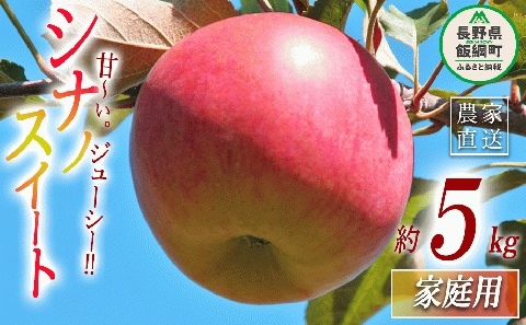 りんご シナノスイート 家庭用 5kg 丸山りんご園 沖縄県への配送不可 2025年10月上旬頃から2025年11月上旬頃まで順次発送予定 令和7年度収穫分 信州 果物 フルーツ リンゴ 林檎 長野 12000円 予約 農家直送 長野県 飯綱町 [0398]