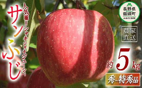 りんご サンふじ 秀 ～ 特秀 5kg 丸山りんご園 沖縄県への配送不可 2025年12月上旬頃から2025年12月下旬頃まで順次発送予定 令和7年度収穫分 信州 果物 フルーツ リンゴ 林檎 長野 16000円 予約 農家直送 長野県 飯綱町 [0264]