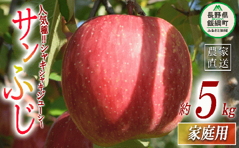 りんご サンふじ 家庭用 5kg 丸山りんご園 沖縄県への配送不可 2025年12月上旬頃から2025年12月下旬頃まで順次発送予定 令和7年度収穫分 信州 果物 フルーツ リンゴ 林檎 長野 12000円 予約 農家直送 長野県 飯綱町 [0710]