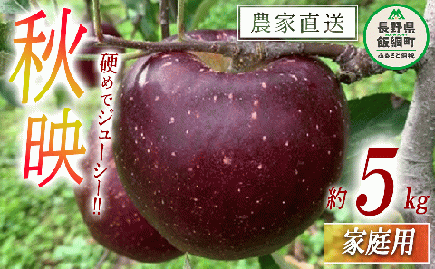 りんご 秋映 家庭用 5kg ファームトヤ 沖縄県への配送不可 2025年10月上旬頃から2025年10月下旬頃まで順次発送予定 令和7年度収穫分 信州 果物 フルーツ リンゴ 林檎 秋映 りんご3兄弟 長野 14000円 予約 農家直送 長野県 飯綱町 [1140]