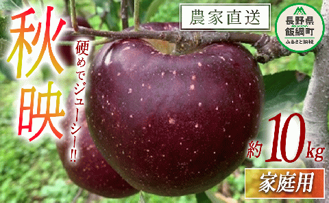 りんご 秋映 家庭用 10kg ファームトヤ 2025年10月上旬頃から2025年10月下旬頃まで順次発送予定 令和7年度収穫分 信州 果物 フルーツ リンゴ 林檎 秋映 りんご3兄弟 長野 24000円 予約 農家直送 長野県 飯綱町 [1141]