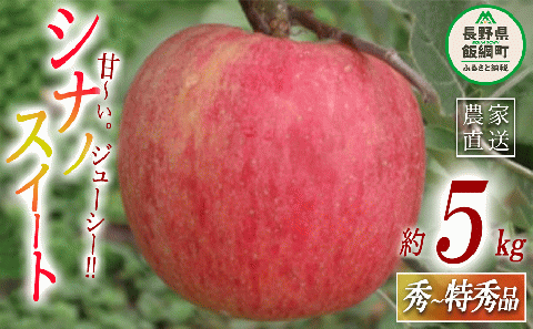 りんご シナノスイート  秀～特秀 5kg 丸茂ファーム 沖縄県配送不可 2024年10月中旬頃～2024年11月下旬頃まで順次発送予定 エコファーマー 令和6年度収穫分 長野県 飯綱町 [0263]