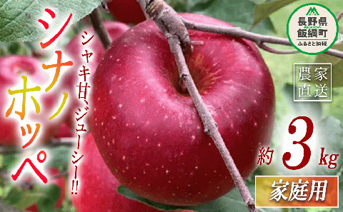 りんご シナノホッペ 家庭用 3kg ファームトヤ 沖縄県への配送不可 2025年11月上旬頃から2025年11月下旬頃まで順次発送予定 令和7年度収穫分 信州 果物 フルーツ リンゴ 林檎 長野 12500円 予約 農家直送 長野県 飯綱町 [1421]
