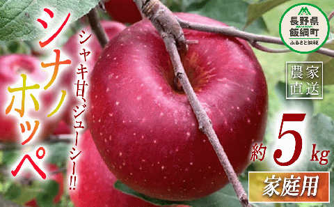 りんご シナノホッペ 家庭用 5kg ファームトヤ 沖縄県への配送不可 2025年11月上旬頃から2025年11月下旬頃まで順次発送予定 令和7年度収穫分 信州 果物 フルーツ リンゴ 林檎 長野 15000円 予約 農家直送 長野県 飯綱町 [0945]