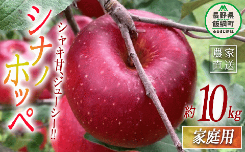 りんご シナノホッペ 家庭用 10kg ファームトヤ 2025年11月上旬頃から2025年11月下旬頃まで順次発送予定 令和7年度収穫分 信州 果物 フルーツ リンゴ 林檎 長野 25000円 予約 農家直送 長野県 飯綱町 [0946]