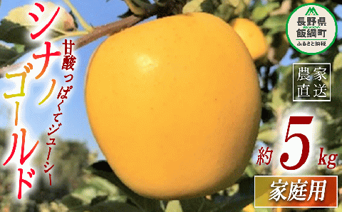 りんご シナノゴールド 家庭用 5kg ファームトヤ 沖縄県への配送不可 2025年11月中旬頃から2025年12月下旬頃まで順次発送予定 令和7年度収穫分 信州 果物 フルーツ リンゴ 林檎 長野 14000円 予約 農家直送 長野県 飯綱町 [1144]