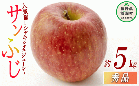 りんご サンふじ 秀 5kg 光センサー選別品 ながの農業協同組合 沖縄県への配送不可 2025年12月上旬頃から2025年12月下旬頃まで順次発送予定 令和7年度収穫分 長野県 飯綱町 [0339]