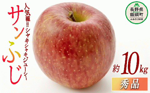 りんご サンふじ 秀 10kg 光センサー選別品 ながの農業協同組合 2025年12月上旬頃から2025年12月下旬頃まで順次発送予定 令和7年度収穫分 長野県 飯綱町 [0338]
