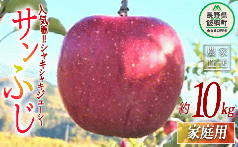 りんご サンふじ 家庭用 10kg ファームトヤ 2025年11月中旬頃から2025年12月下旬頃まで順次発送予定 令和7年度収穫分 信州 果物 フルーツ リンゴ 林檎 ふじ 長野 24000円 予約 農家直送 長野県 飯綱町 [0960]