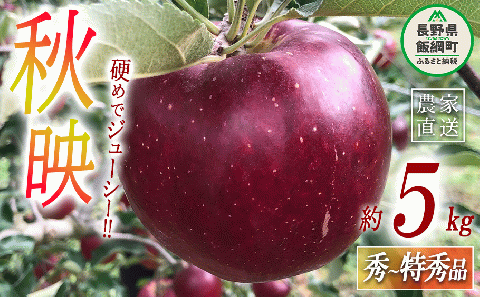 りんご 秋映 秀 〜 特秀 5kg 丸西農園 沖縄県への配送不可 2025年10月上旬頃から2025年10月中旬頃まで順次発送予定 令和7年度収穫分 特別栽培農産物 ( 除草剤 化学肥料 不使用 ) 信州 果物 フルーツ リンゴ 林檎 長野 15500円 予約 農家直送 長野県 飯綱町 [0506]