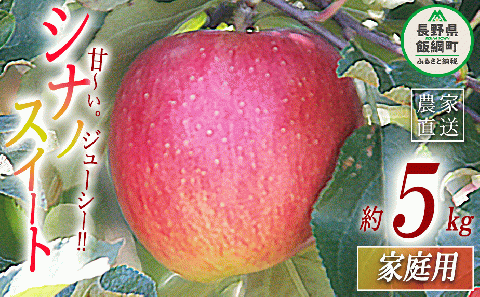 りんご シナノスイート 家庭用 5kg 永正の地蔵尊神谷農園 沖縄県への配送不可 2024年10月上旬頃～2024年11月上旬頃まで順次発送予定 令和6年度収穫分 長野県 飯綱町 [0773]