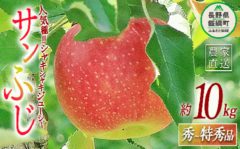 りんご サンふじ 秀 ～ 特秀 10kg 永正の地蔵尊神谷農園  2024年12月上旬頃から2024年12月下旬頃まで順次発送予定 令和6年度収穫分 長野県 飯綱町 [0312]