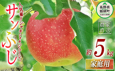 りんご サンふじ 家庭用 5kg 永正の地蔵尊神谷農園 沖縄県への配送不可 2024年12月中旬頃から2025年3月上旬頃まで順次発送予定 令和6年度収穫分 長野県 飯綱町 [0774]