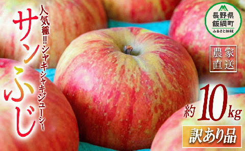 りんご サンふじ 訳あり 10kg 永正の地蔵尊神谷農園 沖縄県への配送不可 2024年12月中旬頃から2025年3月上旬頃まで順次発送予定 令和6年度収穫分 長野県 飯綱町 [0209]