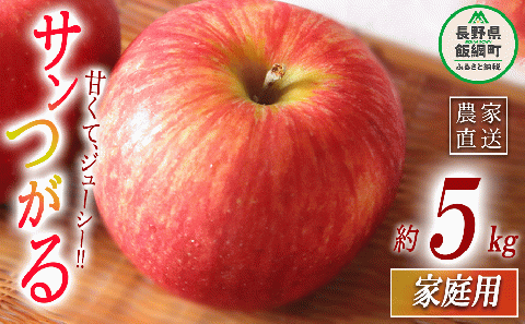りんご サンつがる 家庭用 5kg マルハ農園 沖縄県への配送不可 2025年9月上旬頃から2025年9月下旬頃まで順次発送予定 令和7年度収穫分 エコファーマー認定 信州 果物 フルーツ リンゴ 林檎 長野 13000円 予約 農家直送 長野県 飯綱町 [1620]