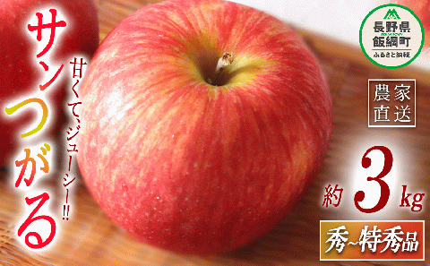 りんご サンつがる 秀～特秀3kg マルハ農園 沖縄県への配送不可 2025年9月上旬頃から2025年9月下旬頃まで順次発送予定 令和7年度収穫分 エコファーマー認定 信州 果物 フルーツ リンゴ 林檎 長野 12000円 予約 農家直送 長野県 飯綱町 [1621]