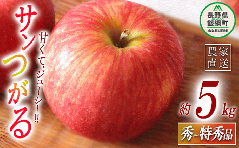 りんご サンつがる 秀～特秀5kg マルハ農園 沖縄県への配送不可 2025年9月上旬頃から2025年9月下旬頃まで順次発送予定 令和7年度収穫分 エコファーマー認定 信州 果物 フルーツ リンゴ 林檎 長野 18000円 予約 農家直送 長野県 飯綱町 [1622]