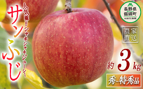 りんご サンふじ 秀 〜 特秀 3kg マルハ農園 沖縄県への配送不可 2025年12月上旬頃から2025年12月下旬頃まで順次発送予定 令和7年度収穫分 エコファーマー認定 信州 果物 フルーツ リンゴ 林檎 長野 13000円 予約 農家直送 長野県 飯綱町 [1636]