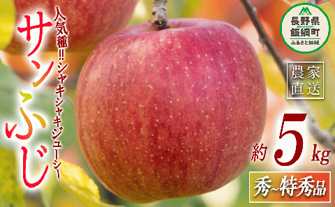りんご サンふじ 秀 〜 特秀 5kg マルハ農園 沖縄県への配送不可 2025年12月上旬頃から2025年12月下旬頃まで順次発送予定 令和7年度収穫分 エコファーマー認定 信州 果物 フルーツ リンゴ 林檎 長野 19500円 予約 農家直送 長野県 飯綱町 [1637]
