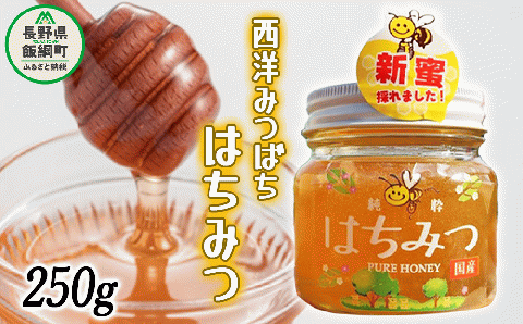 西洋みつばち の はちみつ 1瓶 250g ブンブン渋沢 沖縄県への配送不可 信州 蜂蜜 ハチミツ はちみつ ハニー 加工食品 国産 ご当地 長野 8500円 農家直送 長野県 飯綱町 [1720]