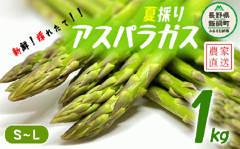 夏採り グリーンアスパラガス 約 1kg S?Lサイズ ITO果樹園 配送先は本州限定 2023年7月下旬?9月下旬まで順次発送 信州 野菜 夏野菜 アスパラ 農家直送 長野県 飯綱町 [0379]