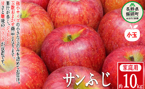 りんご 農家応援企画 サンふじ 家庭用 10kg （ 小玉 ） ※沖縄および離島への配送不可 長野県 飯綱町 [0957]