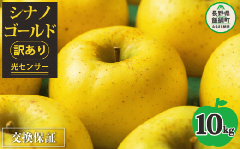 【 感謝りんご / 光センサー選別品 】 りんご シナノゴールド 訳あり 10kg （ 24玉 〜 50玉 ） 交換保証 ながの農業協同組合 2025年11月上旬頃から2025年11月下旬頃まで順次発送予定 令和7年度収穫分 傷 不揃い リンゴ 林檎 果物 フルーツ 信州 長野 20000円 予約 長野県 飯綱町 [1209]