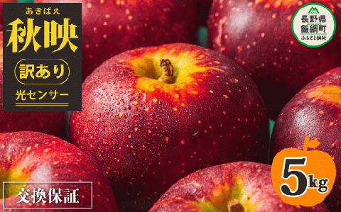 【 感謝りんご / 光センサー選別品 】 りんご 秋映 訳あり 5kg （ 12玉 〜 25玉 ） 交換保証 ながの農業協同組合 2025年10月上旬頃から2025年10月下旬頃まで順次発送予定 令和7年度収穫分 傷 不揃い リンゴ 林檎 果物 フルーツ 信州 長野 12000円 予約 長野県 飯綱町 [1202]