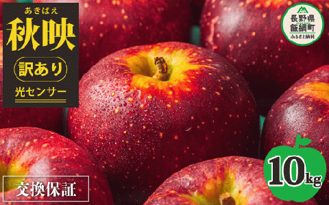 【 感謝りんご / 光センサー選別品 】 りんご 秋映 訳あり 10kg （ 24玉 〜 50玉 ） 交換保証 ながの農業協同組合 2025年10月上旬頃から2025年10月下旬頃まで順次発送予定 令和7年度収穫分 傷 不揃い リンゴ 林檎 果物 フルーツ 信州 長野 20000円 予約 長野県 飯綱町 [1203]