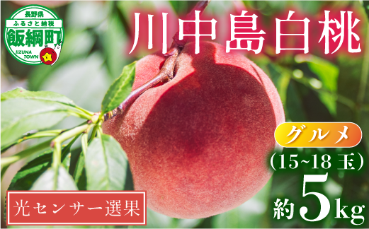 桃 グルメ 5kg （ 川中島白桃 ） 糖度13度以上 光センサー選別品 配送先は本州限定 日時指定および不在指定不可 長野県 飯綱町 [0056]