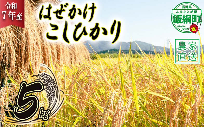 米 こしひかり 5kg ( 令和7年産 ) 黒柳さんのお米 はぜかけ 沖縄県への配送不可 2025年11月上旬頃から順次発送予定 コシヒカリ 白米 精米 お米 信州 17500円 予約 農家直送 長野県 飯綱町 [0107]