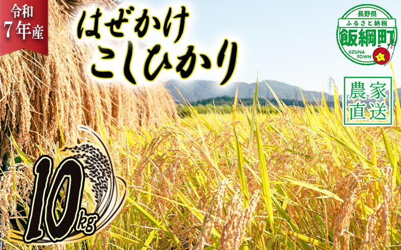 米 こしひかり 10kg ( 令和7年産 ) 黒柳さんのお米 はぜかけ 2025年11月上旬頃から順次発送予定 コシヒカリ 白米 精米 お米 信州 32000円 予約 農家直送 長野県 飯綱町 [0108]