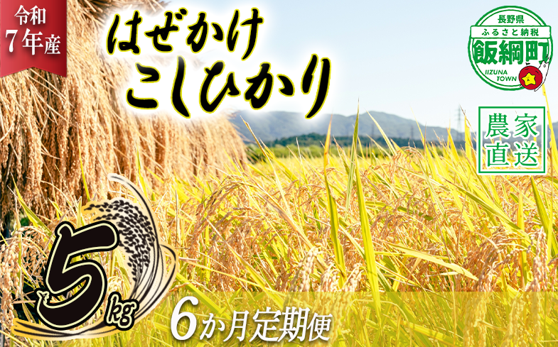 米 こしひかり 5kg × 6回 【 6か月 定期便 】( 令和7年産 ) 黒柳さんのお米 はぜかけ 沖縄県への配送不可 2025年11月上旬頃から順次発送予定 コシヒカリ 白米 精米 お米 信州 84000円 予約 農家直送 長野県 飯綱町 [0433]