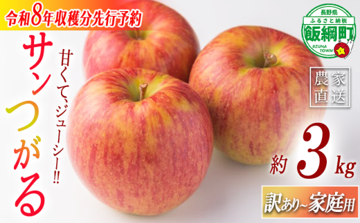 りんご サンつがる 家庭用・訳あり3kg  農家応援企画 【令和8年度収穫分】※沖縄県への配送不可 ※2026年8月下旬頃から9月中旬頃まで順次発送予定 長野県飯綱町[0786]
