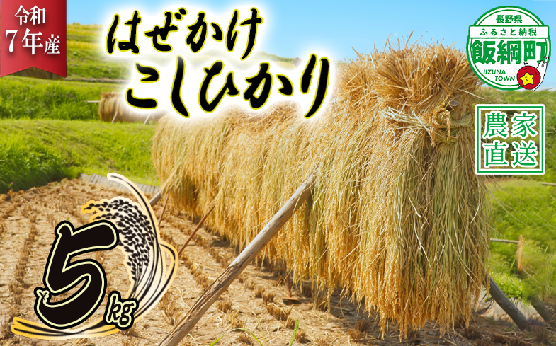米 はぜかけ こしひかり 5kg ( 令和7年産 ) 増田ファーム 沖縄県への配送不可 2025年11月上旬頃から順次発送予定 長野県 飯綱町 [0814]